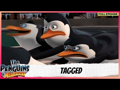 The Penguins of Madagascar | Full Episode | Tagged