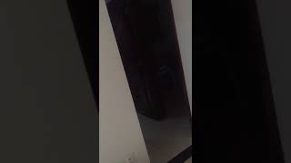 Pardinho goiana clássico com repetição