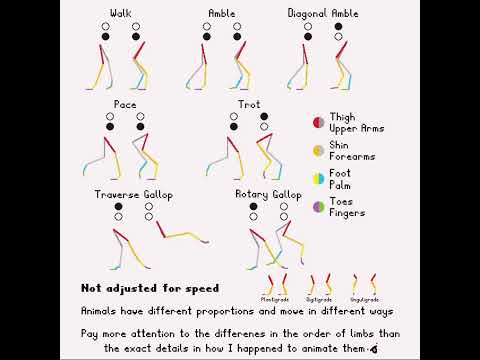 Quadruped Movement Animation Tutorial - Walk, Gallop, Trot, Pace #animation