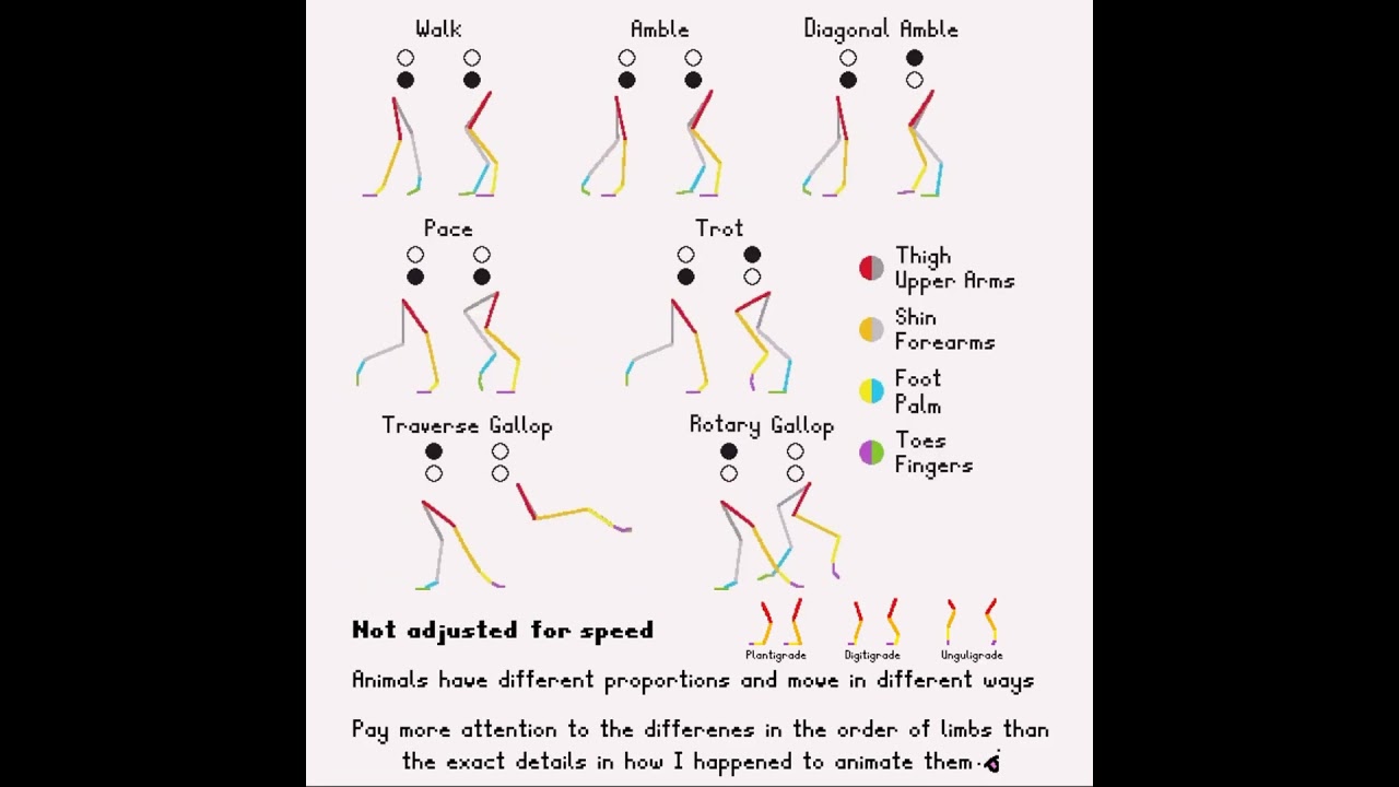 Quadruped Movement Animation Tutorial - Walk, Gallop, Trot, Pace #animation