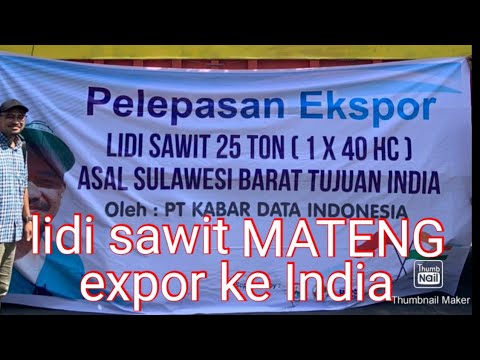 lidi sawit MATENG tembus expor ke India