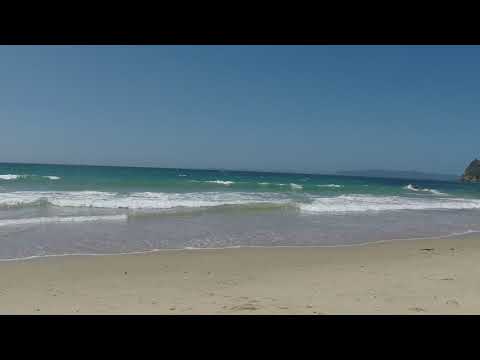 Layla zoomies on the beach in Gisborne, New Zealand 🇳🇿
