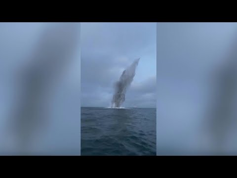 Video Thumbnail: WWII bomb detonated in waters by Danish army | AFP
