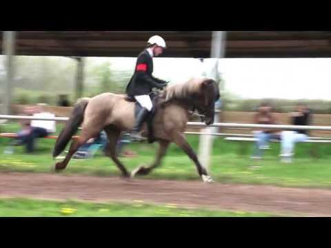 OSI 2013 Altrip - Reitclub Altrip