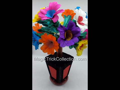 Secret Night Lamp by Tora Magic