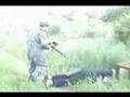 Paintball Deer Hunting