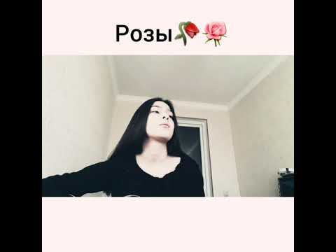 Розы- Alimirzoe (cover Диана Тедеева)