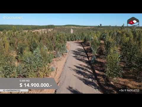 Parcela en sector Alto las Garzas, Cauquenes.