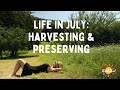 Slow Living In The Austrian Countryside Harvesting Preserving In July 2022
