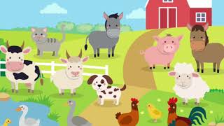 Miss América y Miss Ceci: Actividades (27 abril 2020)