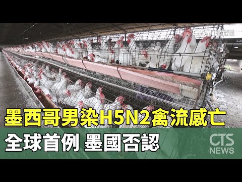 墨西哥男感染H5N2禽流感身亡全球首例　墨國否認