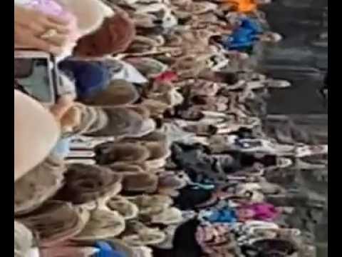 onnie Tyler & Atle Pettersen - Total eclipse of the heart