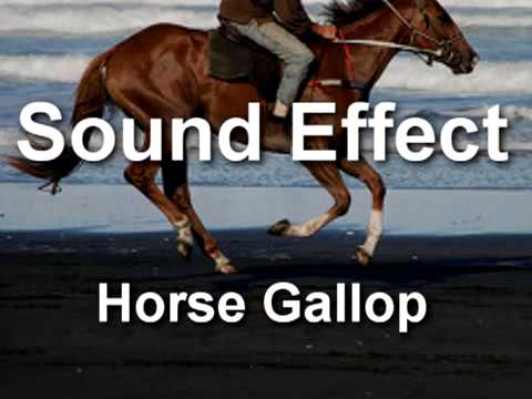 Horse Gallop Sound Effect YouTube