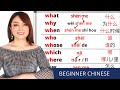 BEGINNER Chinese----QUESTION WORDS in Chinese, learn them easily with mind map/ Yimin Chinese