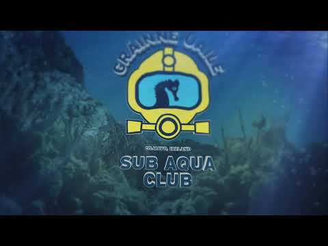 GUSAC Kilcummin boat dive 28 05 2021