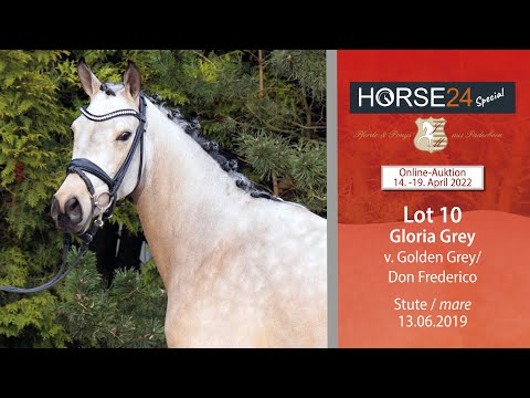 Horse24 Special Auktion Mielesko-Vekens Lot 10 Gloria Grey v. Golden Grey NRW - Don Frederico