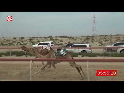   ش 5 (مشغله) لـ جمعه عتيق جمعه الرميثي 9:51 , شارة الديوان 2026/03/07 حول زمول سمحه