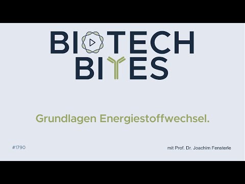 Biotech-Bites - Grundlagen Energiestoffwechsel