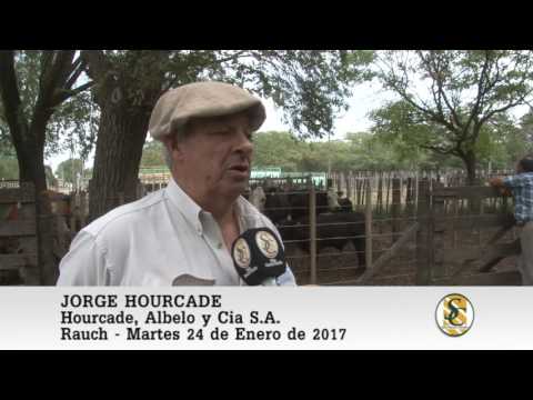 24-01-17 Nota Jorge Hourcade - Hourcade, Albelo y Cia S.A. - Rauch.