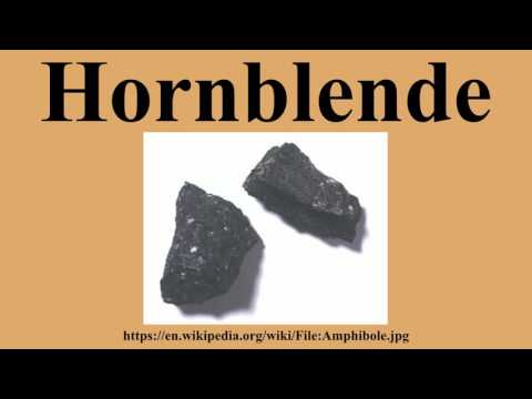 download lagu mp3 mp4 Hornblende, download lagu Hornblende gratis, unduh video klip Hornblende