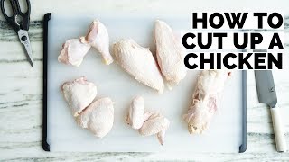 How to Cut Up A Chicken | Elena Besser | Besser's Basics