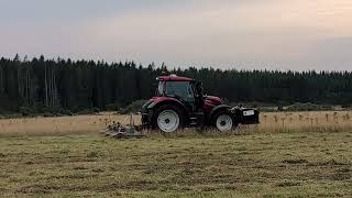 Feldbjerg økologi med Brakpudser ved Vildbjerg