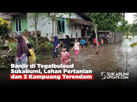 Banjir di Tegalbuleud Sukabumi, Lahan Pertanian dan 3 Kampuang Terendam