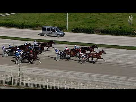 Aversa trotto 20 Marzo 2021 - 2° Corsa