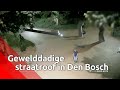 Man met geweld beroofd