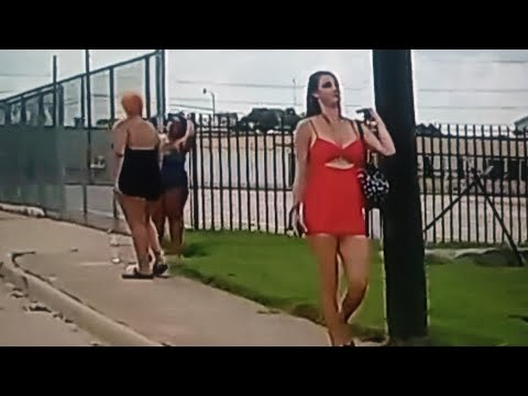 Harry Hines Blvd/ Street Lizards