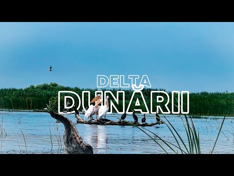 Amazonul Europei – Paradisul pe cale de dispariție | Delta Dunării așa cum nu ai mai vazut-o !