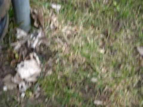 TSV Brekendorf - TSV Kosel    3.4.2010           1