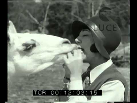 Elsa Merlini allo zoo di Roma