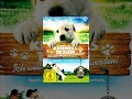 Krümels Traum Ich Will Polizeihund Werden Ganzer Film