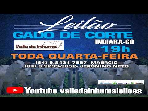 Indiara  - GO   05/08/2026