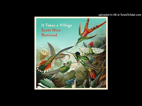 Sunshine Cameo (Equanimous Remix) - Scott Nice