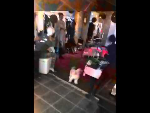 Concept store iuliana mihai exclusive vip