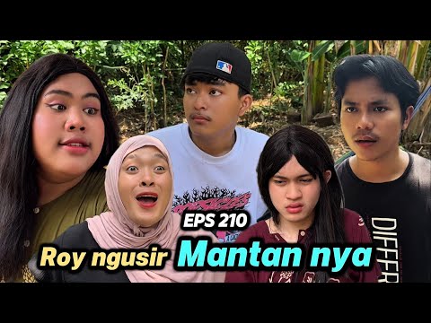 EPS 210, Roy risih dengan kedatangan yuni (DUSUN LANTAM) 