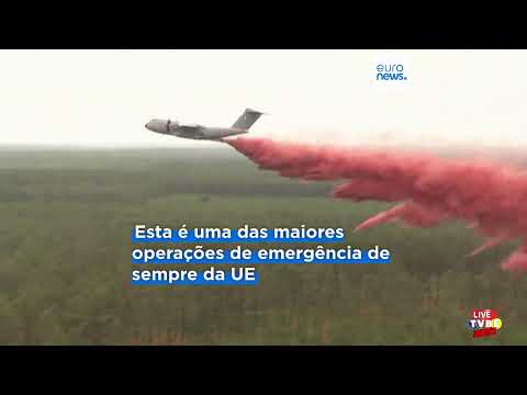 PROGRAMA LIVE TVBE NEWS