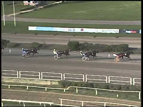 Trotto 13/11/2014 - 1° prova di qualifica