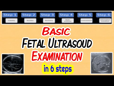 Basic Fetal Ultrasound Examination