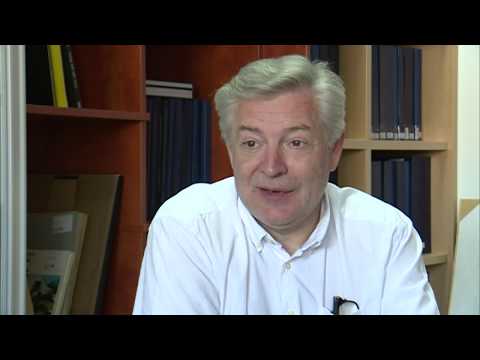 ŠKRINJA - Tradicionalna muslimanska kuća