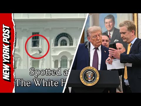 Trump Claims Viral Video of Mystery Objects Being Tossed From White House Window is AI-Generated