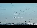 Sand Drawing I Judah Earl Music Cinematic Rest