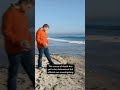 Huge whale found dead on beach