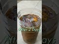 Make Easy And Free Organic Liquid Fertilizer From Kitchen Wastes Shorts