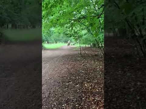 ETIME TIME MOTO  ELECTRIC TRIALS BIKE  FIRST RIDE THIS IS CRAZY