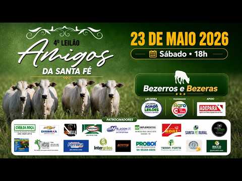 4º LEILÃO AMIGOS DA SANTA FÉ - VILA SANTA FÉ / PA