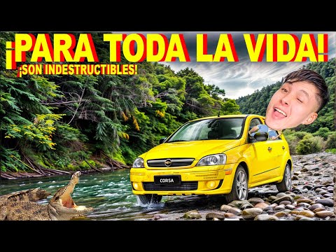 Fayals and Válvula de Escape ec