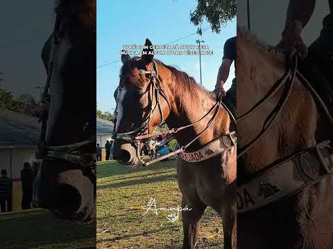 Festa de São Tiago - Mazagão